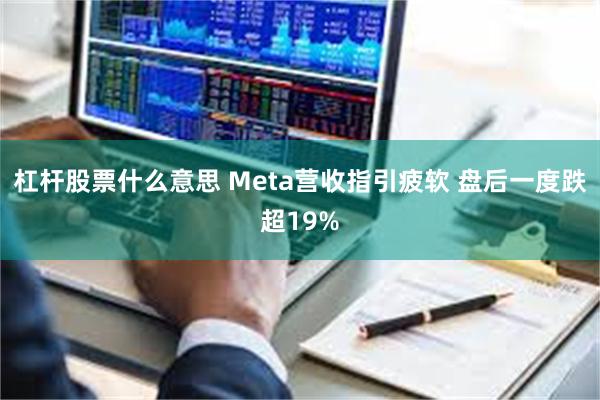 杠杆股票什么意思 Meta营收指引疲软 盘后一度跌超19%