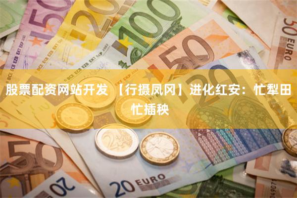 股票配资网站开发 【行摄凤冈】进化红安：忙犁田 忙插秧