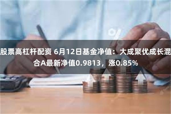 股票高杠杆配资 6月12日基金净值：大成聚优成长混合A最新净值0.9813，涨0.85%