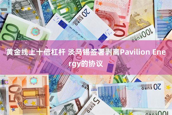 黄金线上十倍杠杆 淡马锡签署剥离Pavilion Energy的协议