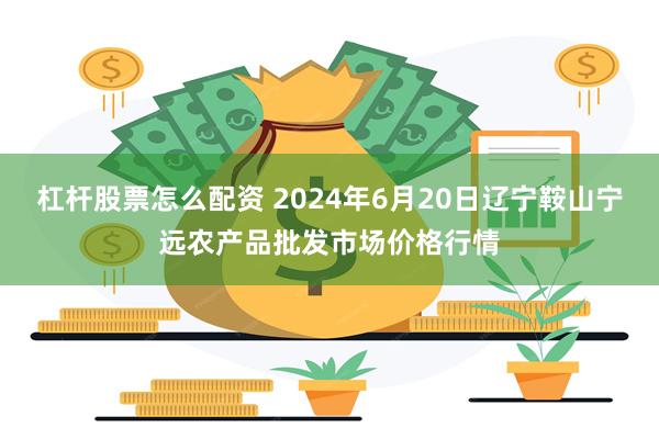 杠杆股票怎么配资 2024年6月20日辽宁鞍山宁远农产品批发市场价格行情