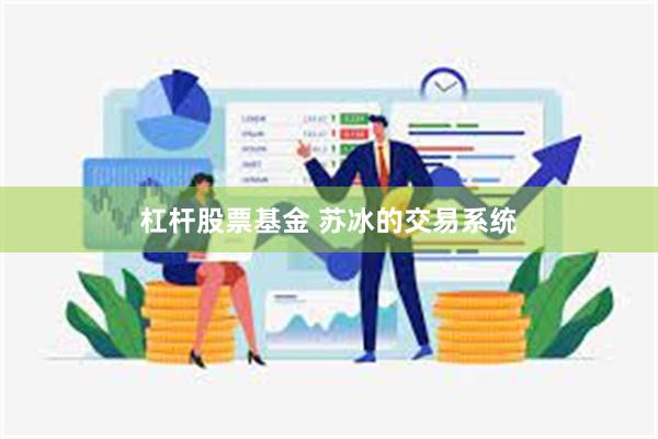 杠杆股票基金 苏冰的交易系统