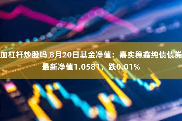 加杠杆炒股吗 8月20日基金净值：嘉实稳鑫纯债债券最新净值1.0581，跌0.01%