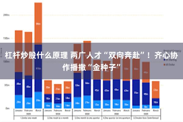 杠杆炒股什么原理 两广人才“双向奔赴”！齐心协作播撒“金种子”