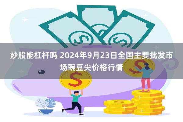 炒股能杠杆吗 2024年9月23日全国主要批发市场豌豆尖价格行情