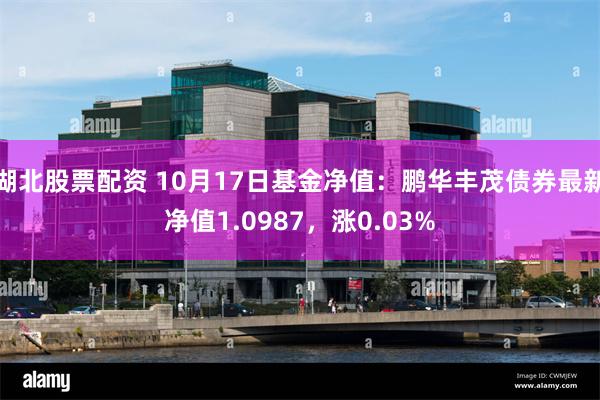 湖北股票配资 10月17日基金净值：鹏华丰茂债券最新净值1.0987，涨0.03%