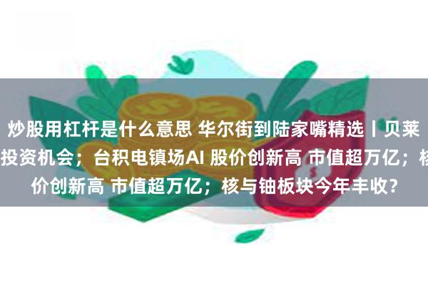 炒股用杠杆是什么意思 华尔街到陆家嘴精选丨贝莱德：关注中日英股市投资机会；台积电镇场AI 股价创新高 市值超万亿；核与铀板块今年丰收？