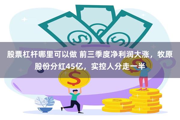 股票杠杆哪里可以做 前三季度净利润大涨，牧原股份分红45亿，实控人分走一半