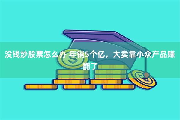 没钱炒股票怎么办 年销5个亿，大卖靠小众产品赚翻了