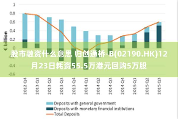 股市融资什么意思 归创通桥-B(02190.HK)12月23日耗资55.5万港元回购5万股