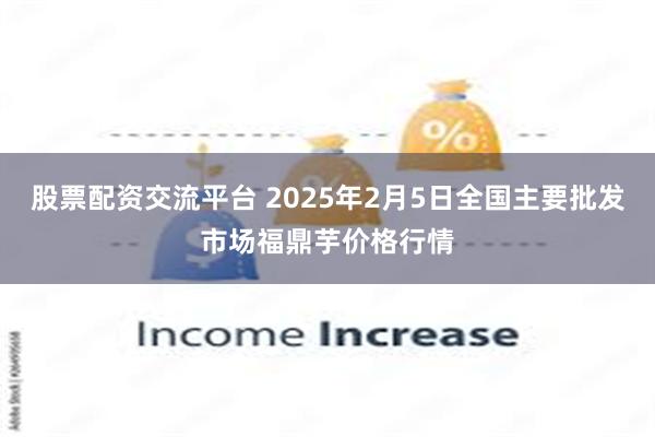 股票配资交流平台 2025年2月5日全国主要批发市场福鼎芋价格行情