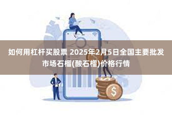 如何用杠杆买股票 2025年2月5日全国主要批发市场石榴(酸石榴)价格行情